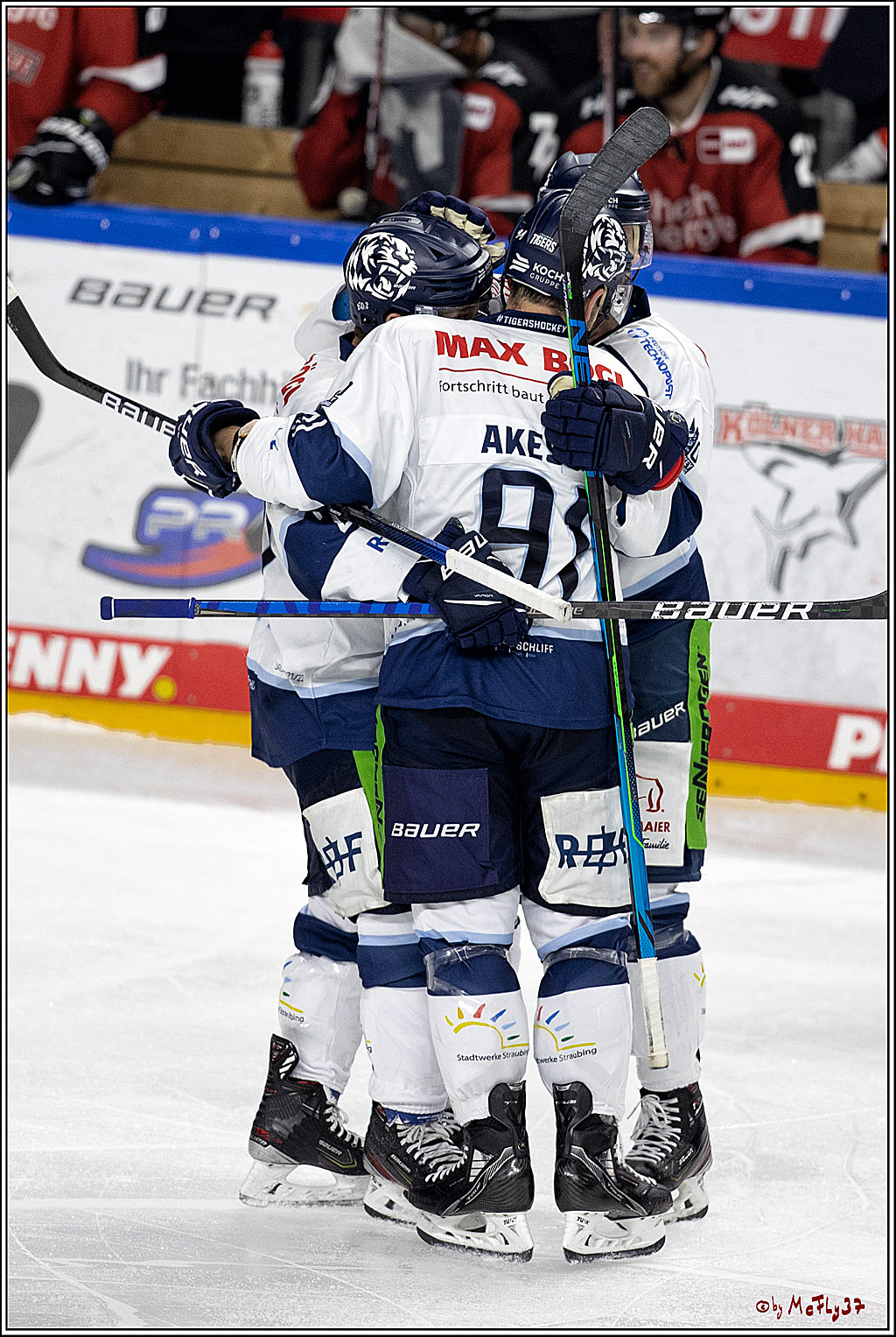 PENNY DEL;  Koelner Haie - Straubing Tigers; Koeln, 15.10.2021